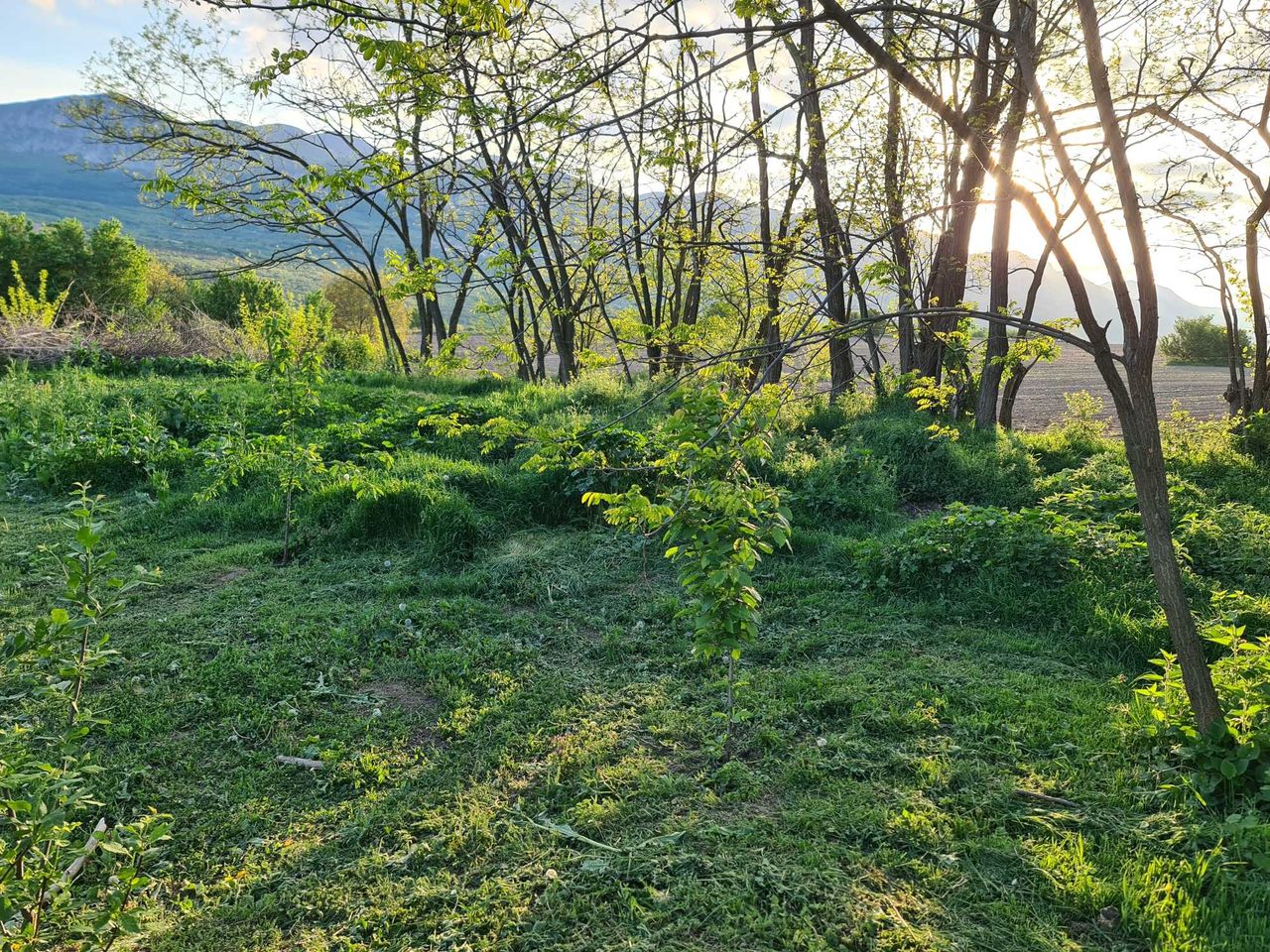 Продава се Парцел в с. Руска Бела, Област Враца - 1742 кв.м за 11 €/кв.м - Снимка #3