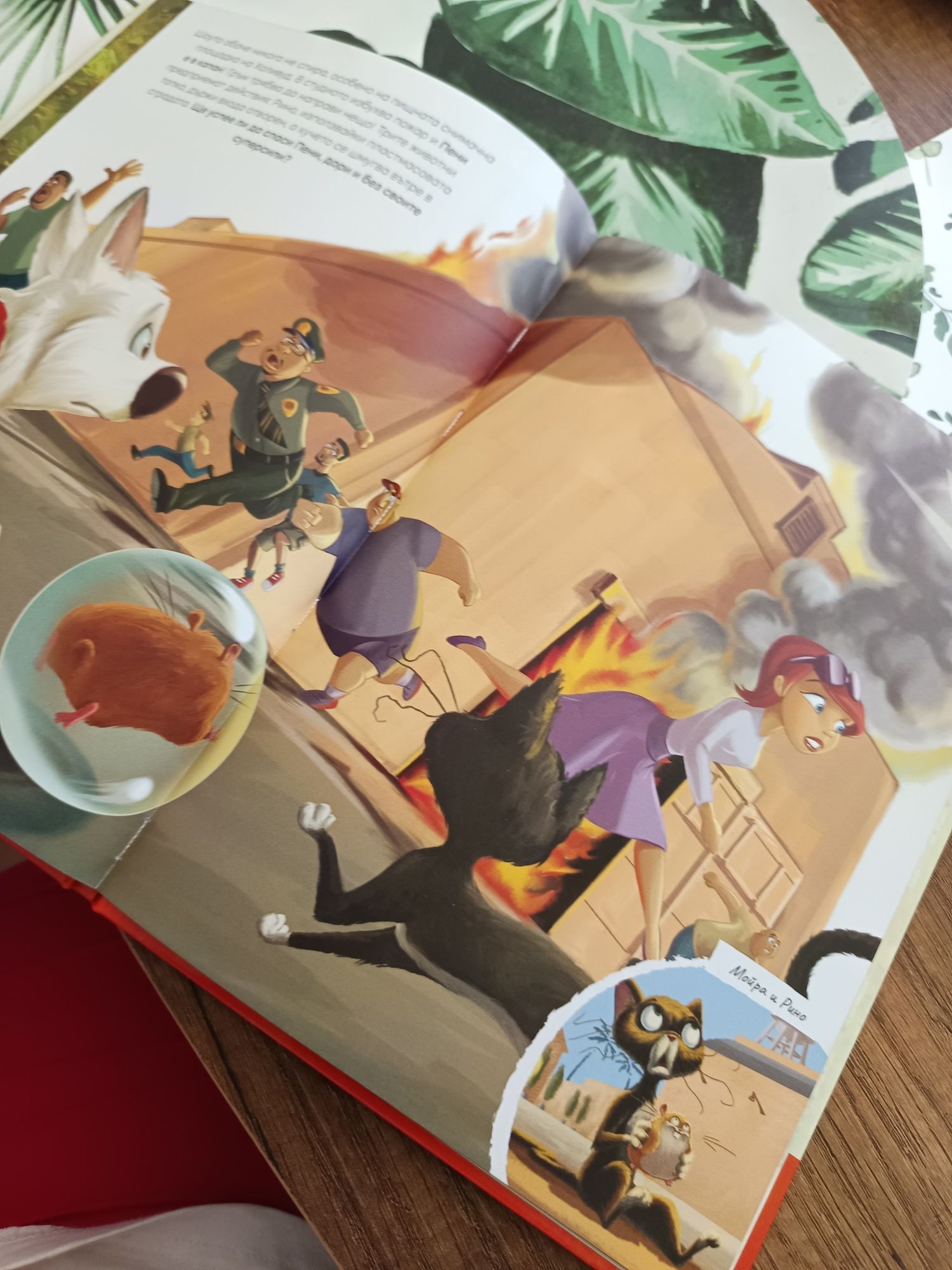 Дисни книжка ГРЪМ