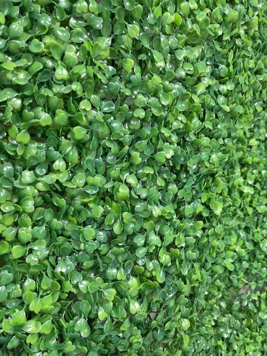 Зелено пано изкуствена трева за стена