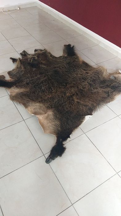 Piei de mistret două bucăți de anul trecut