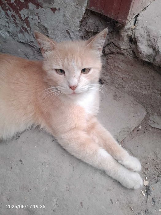 Красавица девочка