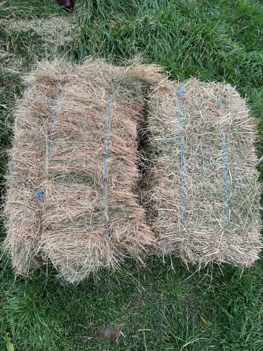 Vând baloți fan și lucerna