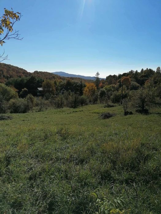 De vanzare teren intravilan 4500 mp,cu casa veche in Sovata