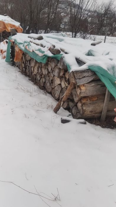 Lemn de foc fag uscat