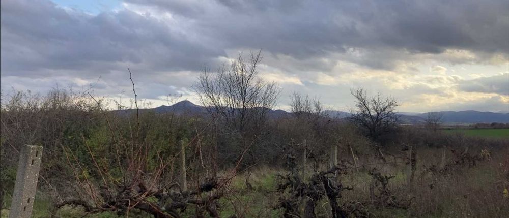 Продава се Парцел в Първомай - 2320 кв.м за 3 €/кв.м - Снимка #1