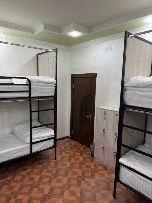 Palm Hostel — Toshkent markazidagi zamonaviy hostel 50 000 so‘mdan