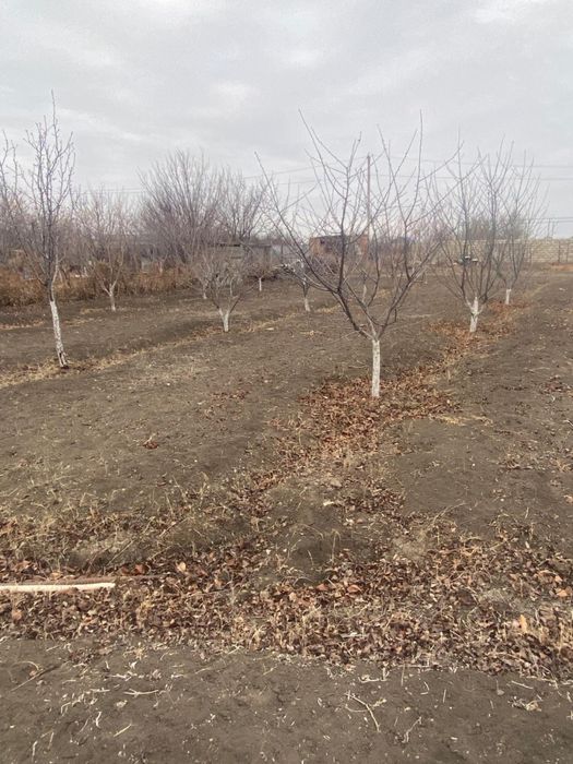 Дачный участок 18 соток