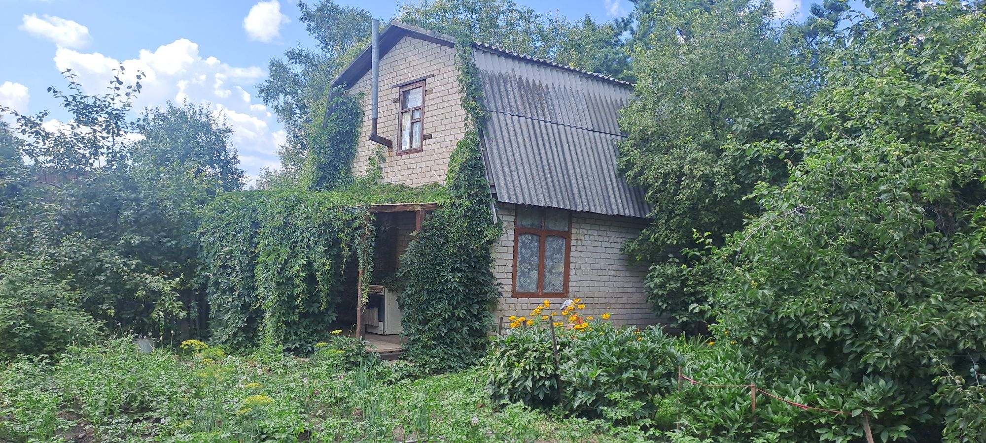 Продаётся дача. Черёмушки