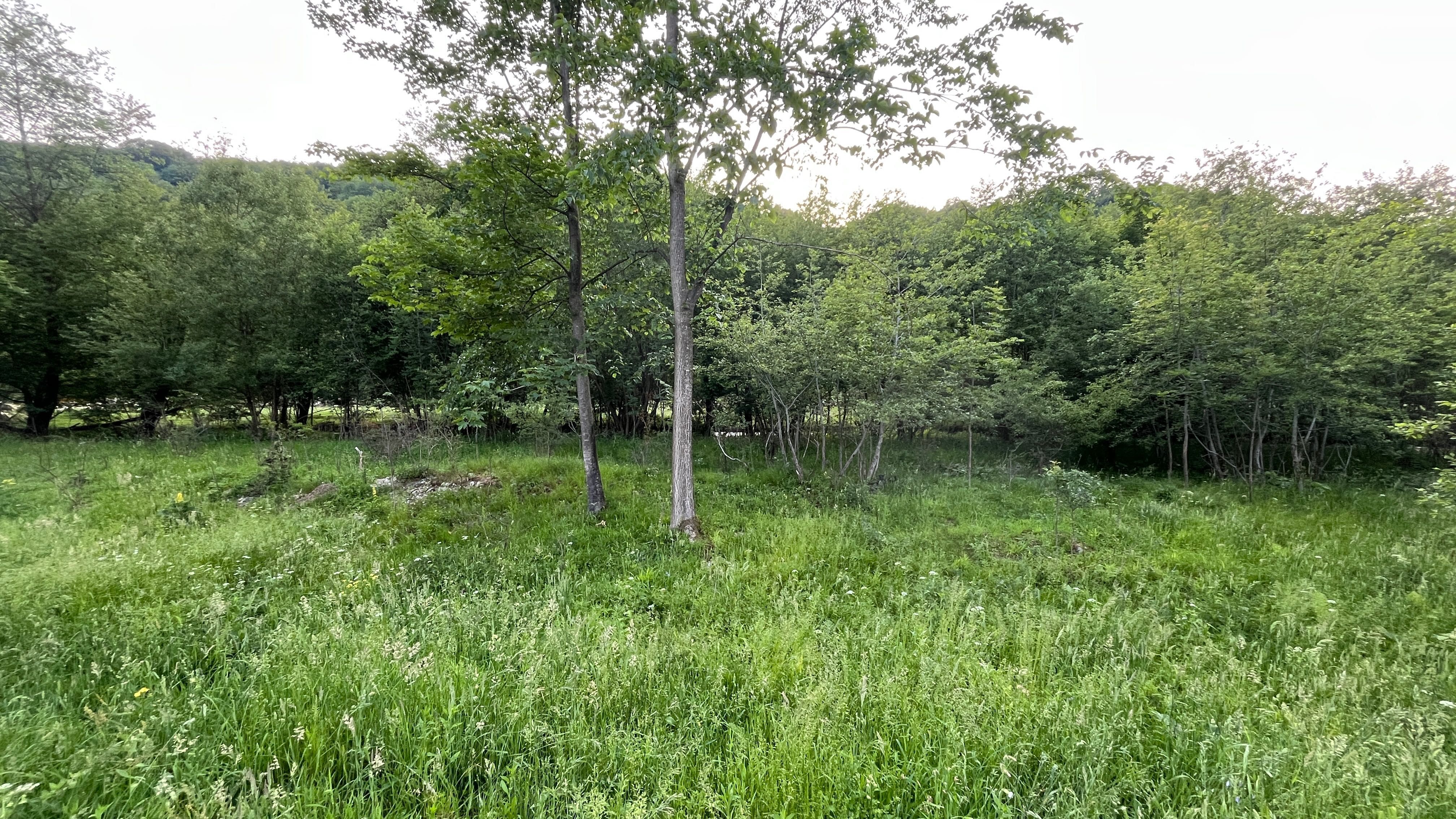 Teren  intravilan 1000 m2 ,cu acces la vale ,în Valea Drăganului