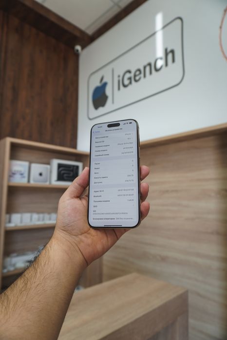 16 Pro Max 256Gb 100% 2Sim Ideal