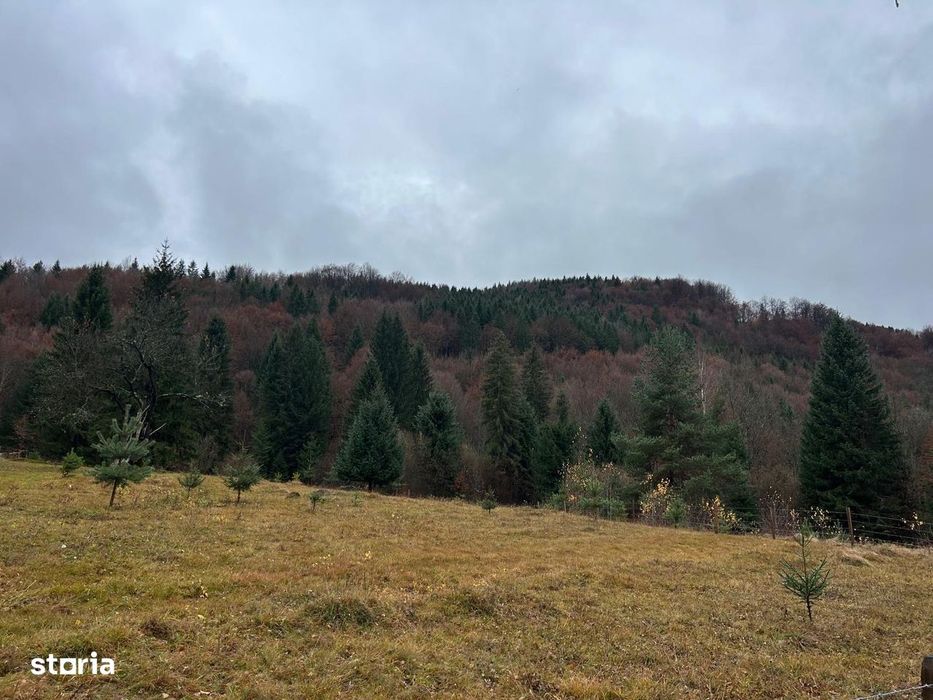 Teren de vânzare5.678mp  Câmpul lui Neag HD Lângă Pensiunea Retezat