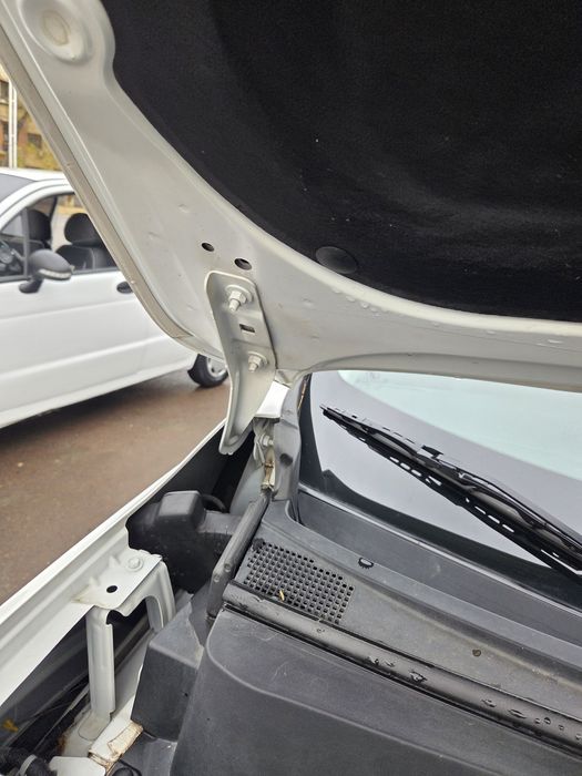 Orlando 2023 new kak novaya