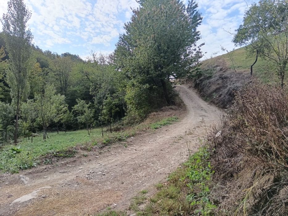 Teren Muntii Cernei,Cornereva,Dobraia