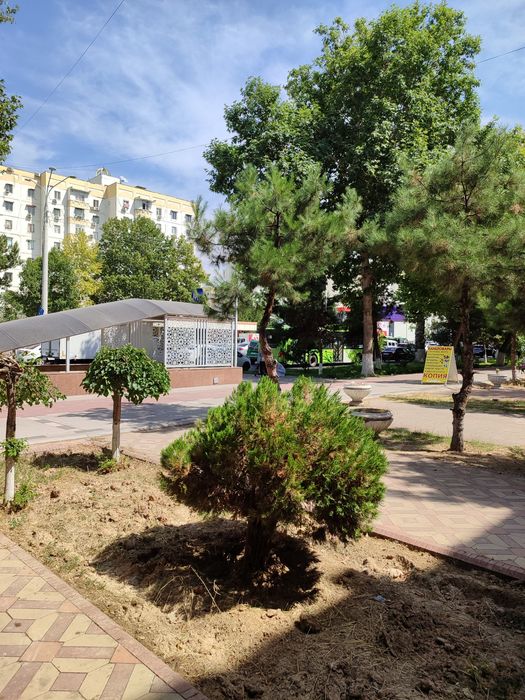 Аренда нежилое помещение 20 кв.м метро шахристанский вдоль дороги