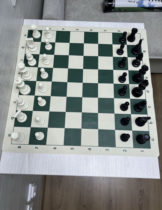 Шахматы ,размер 50*50см,новые,