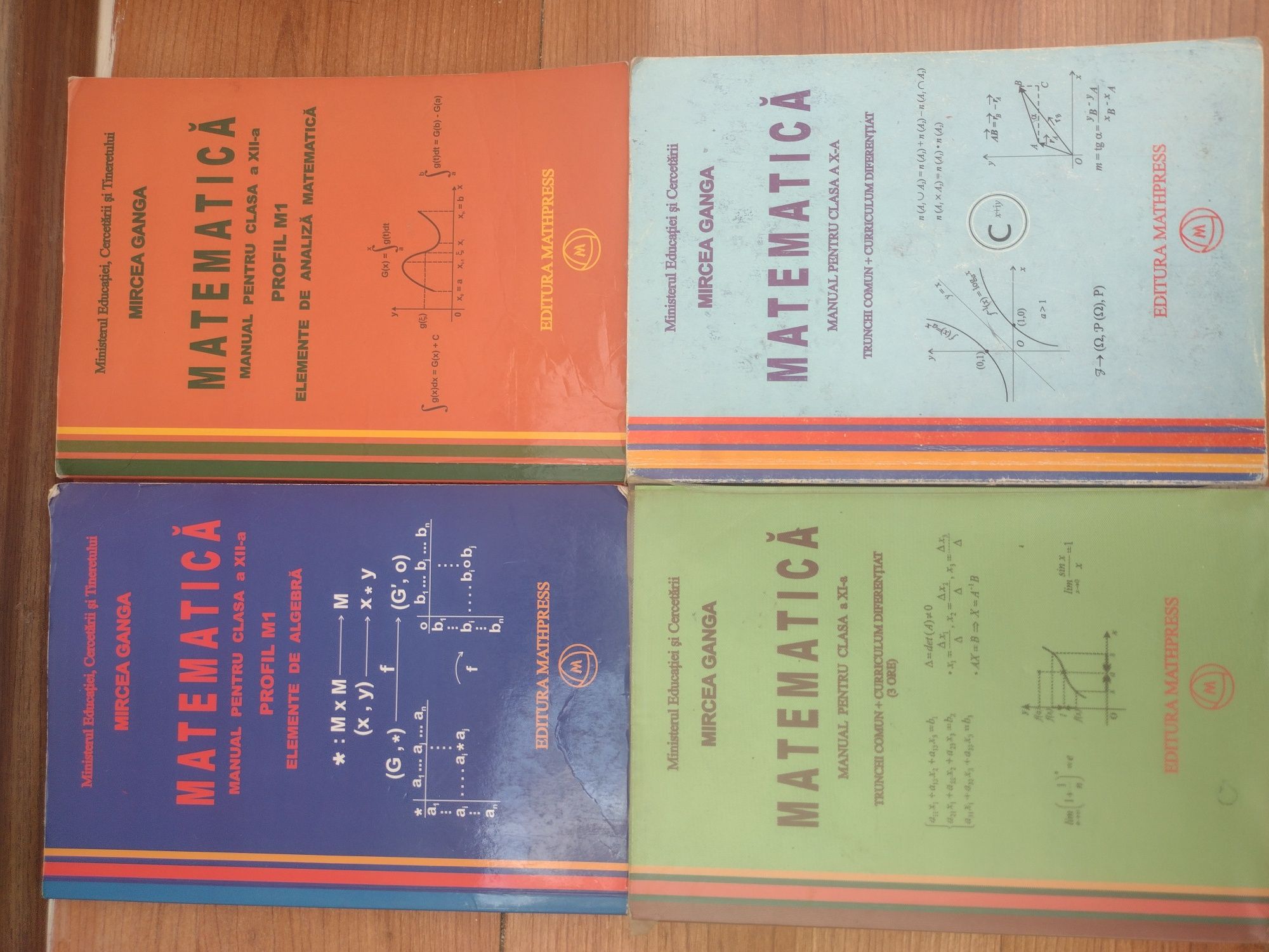 Cărți manuale matematica informatica anatomie