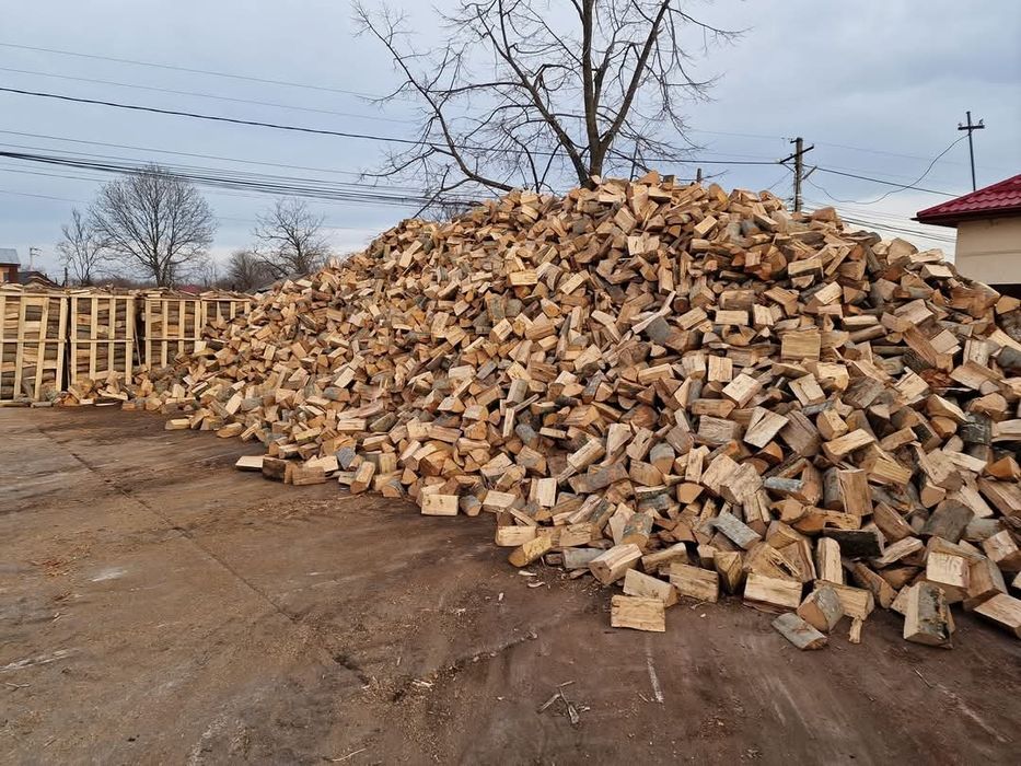 Lemn de foc/ carbuni lignit