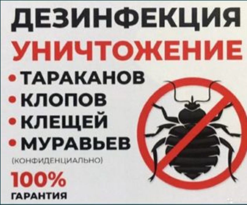 Уничтожение клопов, тараканов и термитов с гарантией