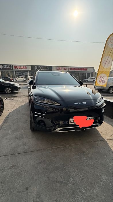 Bivaydi chempiyon smart