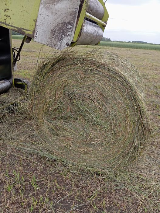 Продам сено  хорошего качества