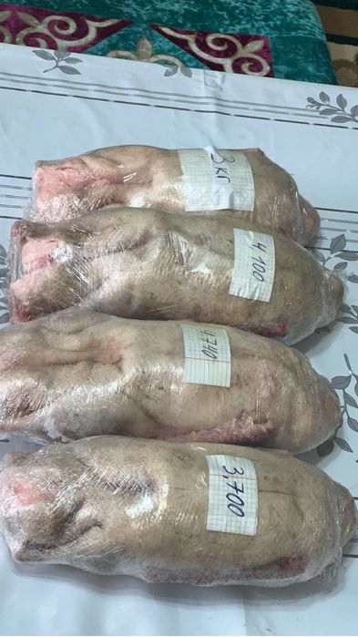 Қаз сатамыз. Гусь.