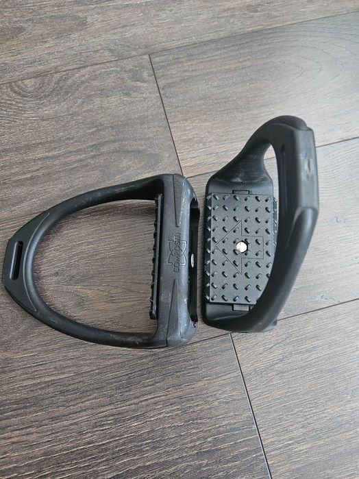 Scarite negre Compositi