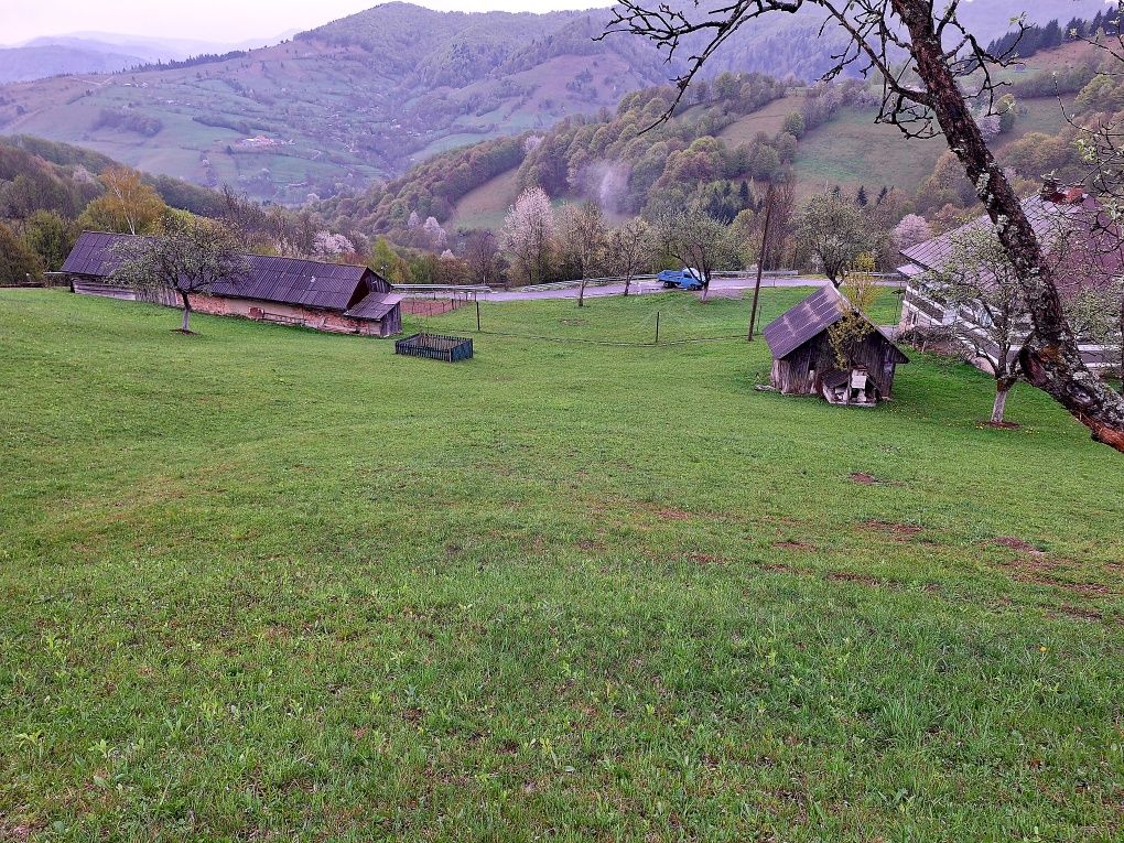 Vând casă cu teren!