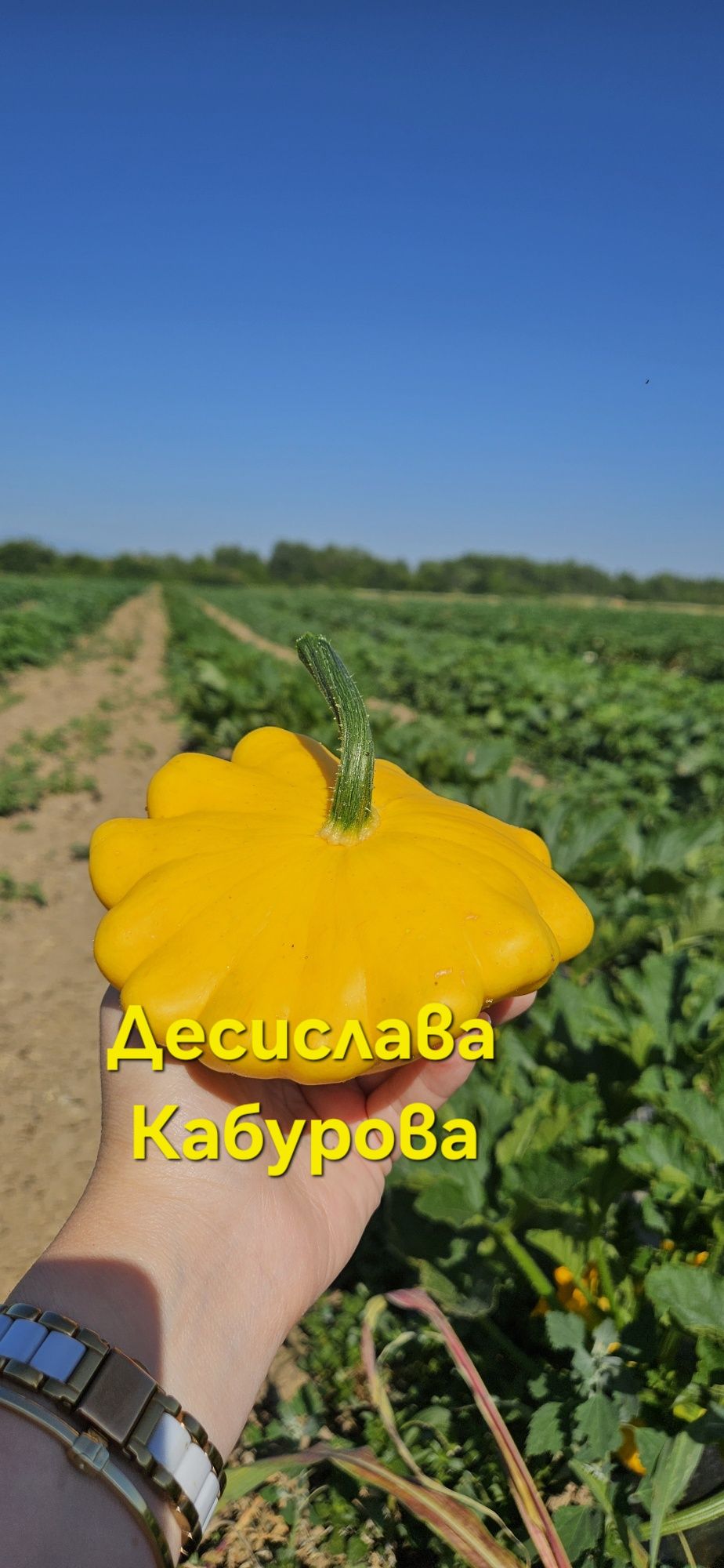 Тикви от с. Мало Конаре