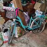 Biciclta dama mint