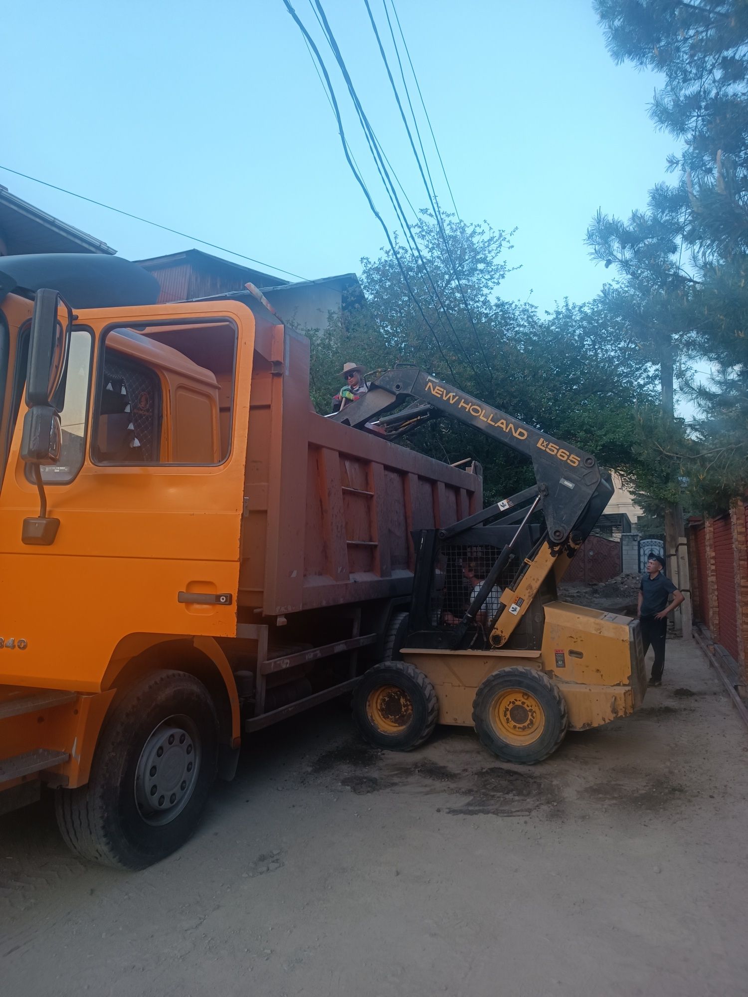 Бобкат аренда bobcat