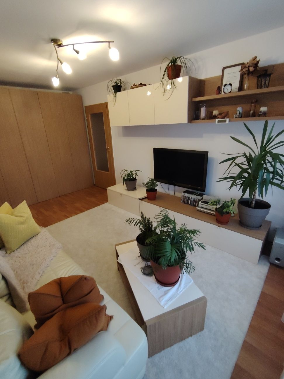 Apartament 3 camere