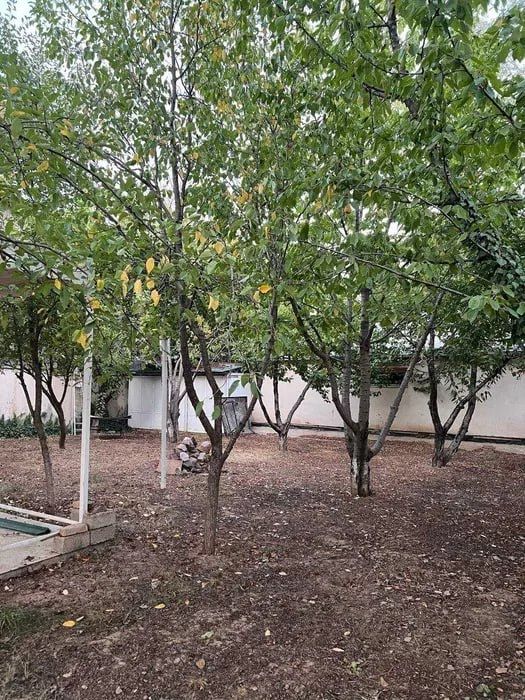 Загородный дом ( Дача) на 18 сотках Чарвак