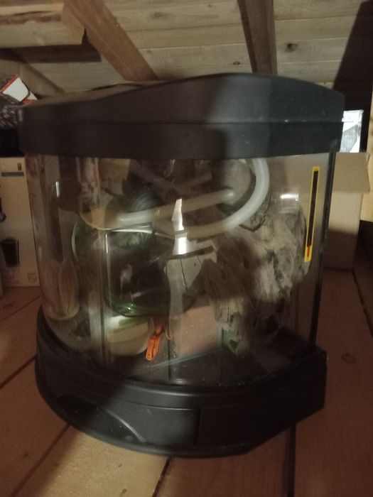 Vand acvariu cu sticla bombata