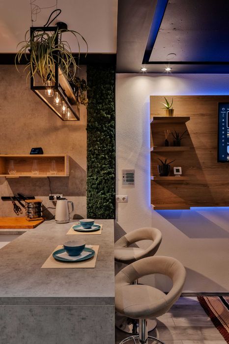 Regim Hotelier zona Vivo