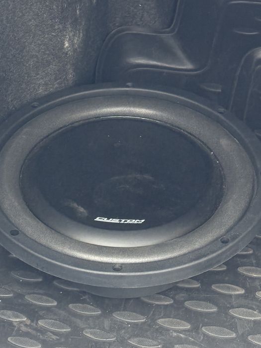 Custom csw-s25 Dinamic State Technology сабвуфер
