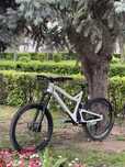 Propain Tyee CF 2019 nu giant yt downhill enduro sram scott santa cruz