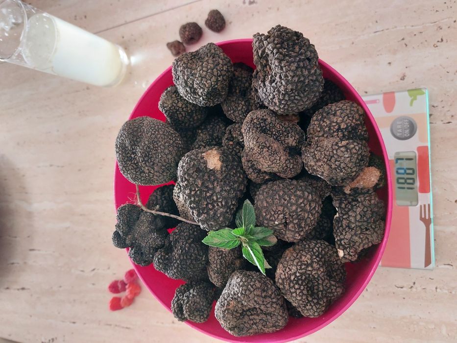 Trufe proaspete fresh parfumate savuroase