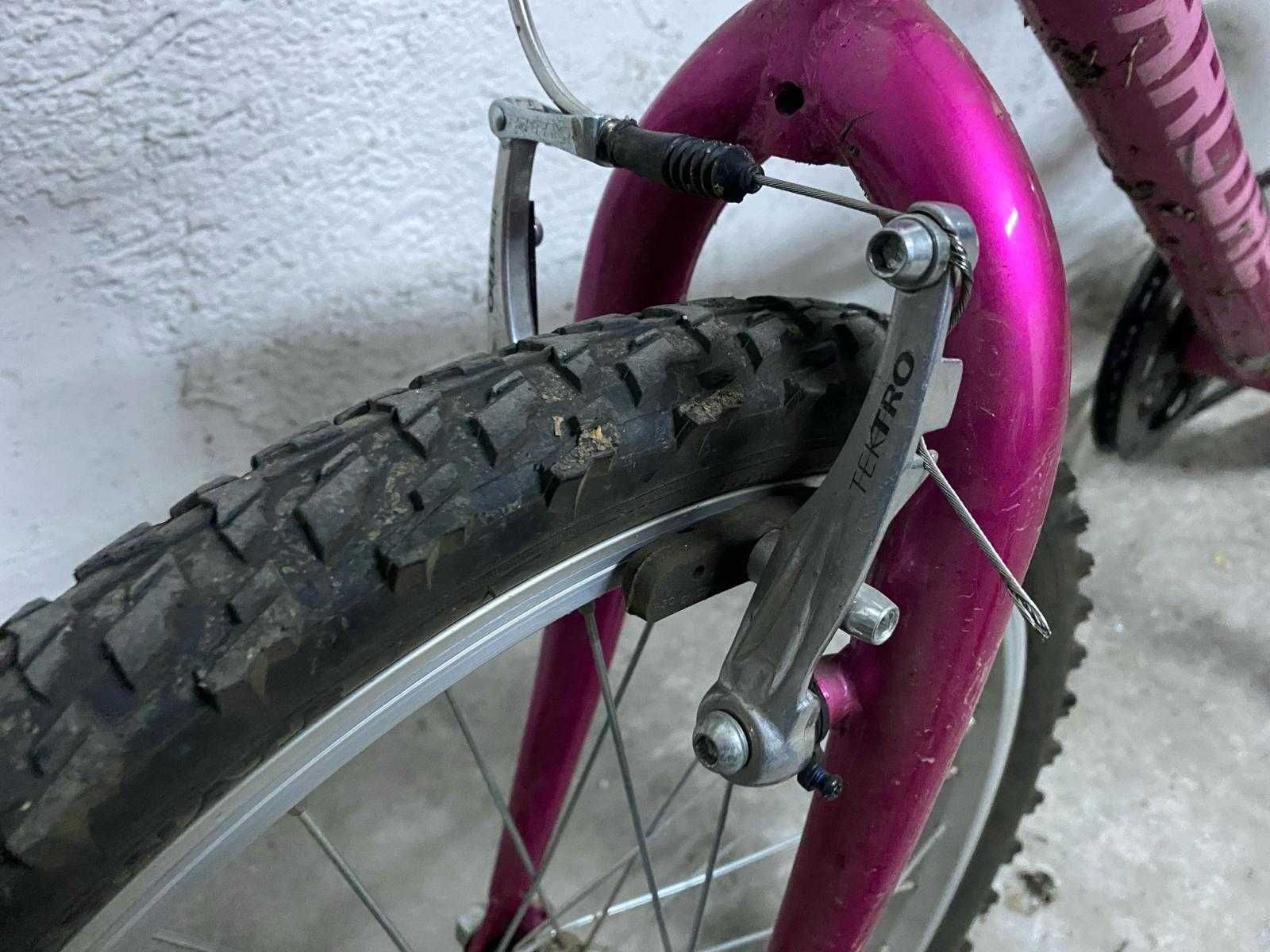Bicicleta Arcore SPEEDY 20