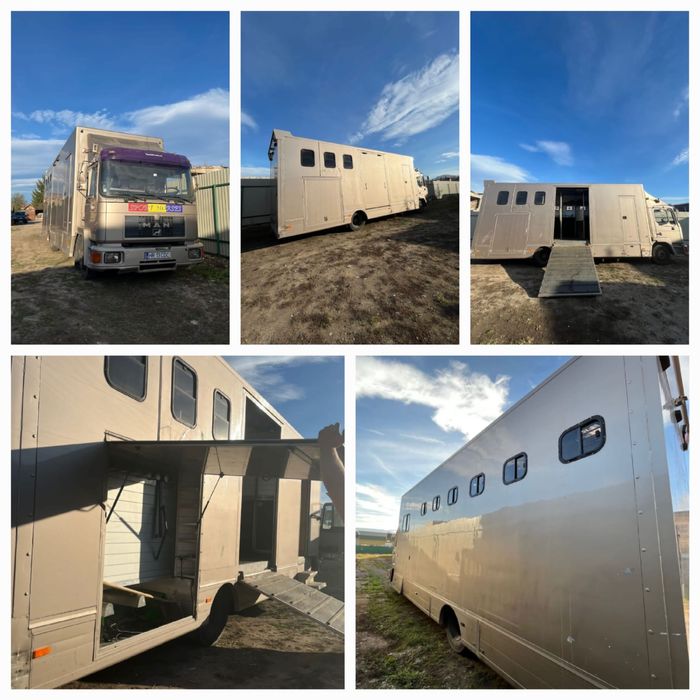 Man M02 Camion transport pentru 6 cai si dormitor 2 locuri