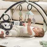 Активна гимнастика Tiny Love Developmental Gymini