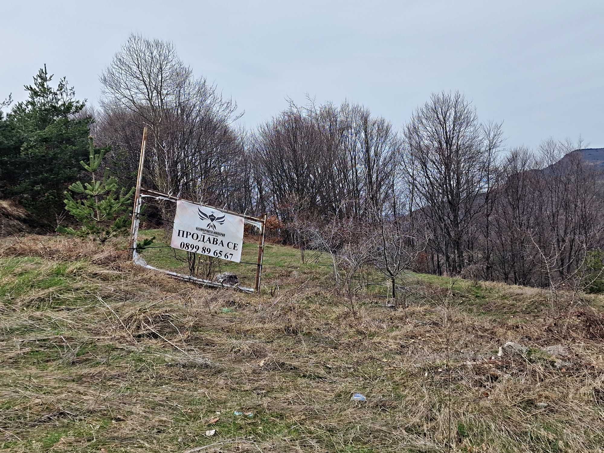 Продавам земя 1981кв. в село Врата, местност КАБАТА общ.Асеновград