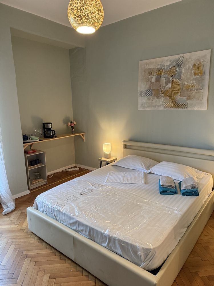 Garsonieră Cismigiu cu balcon boxă renovată modern vedere parc