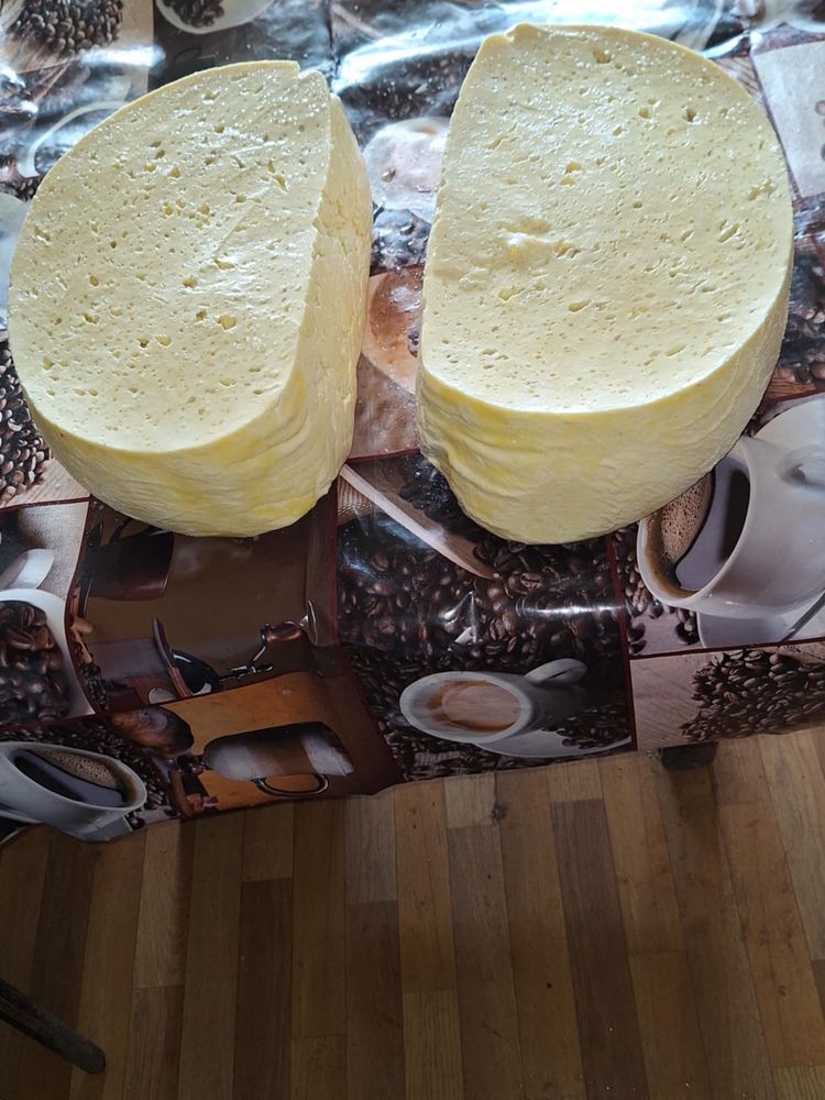 Vand brabza de oaie