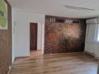 Ap 2 camere brazda-rocada-parter stradal