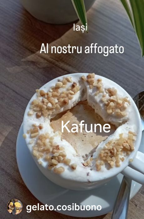 Espressoare profesionale comodat