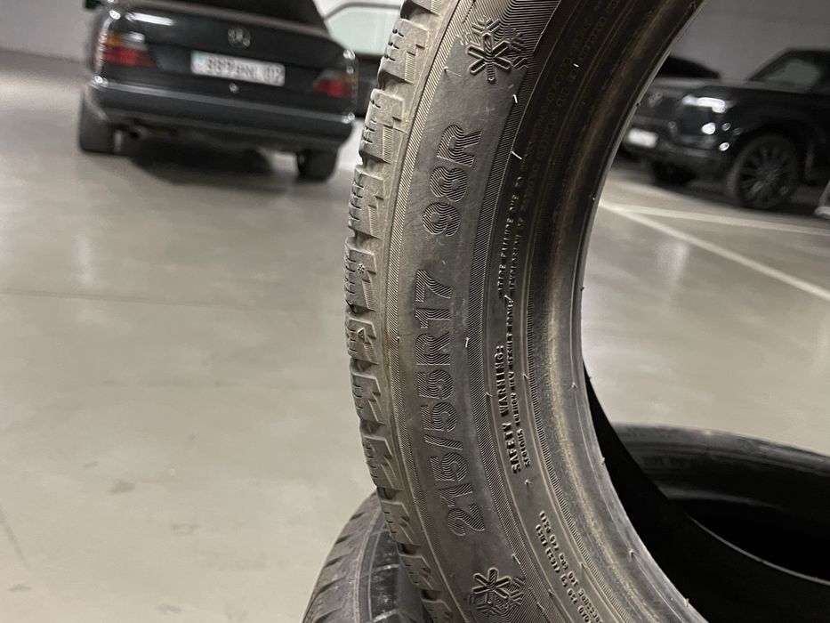 Зимние шины Triangle 215/55 R17
