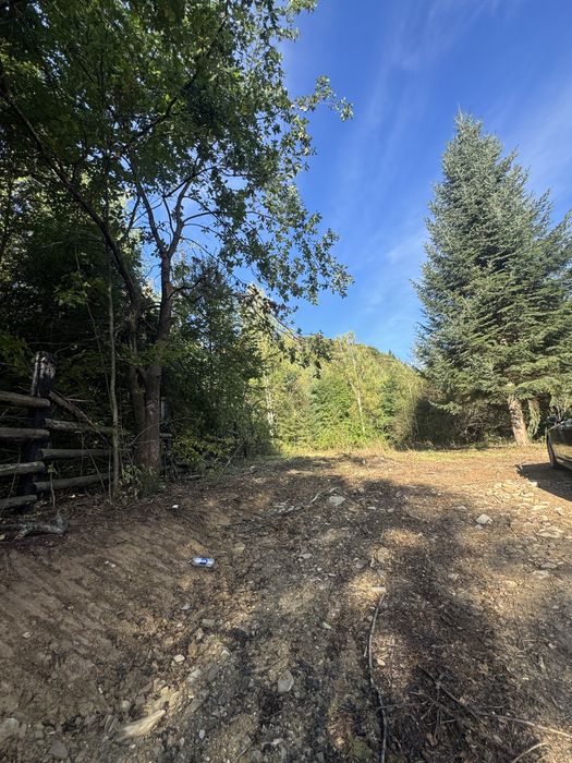 Teren sucevita poiana marului