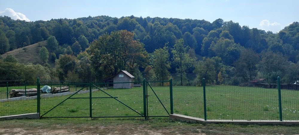 Teren de vanzare+căsuță +pădure