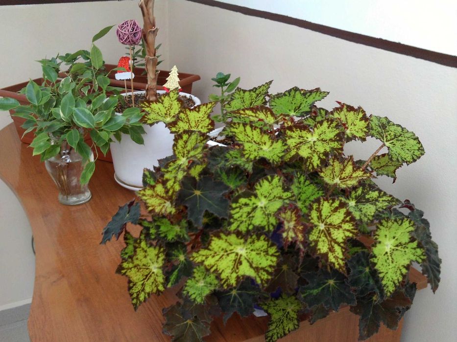 фотоапарат MAGINON Splash 80 с два дисплея