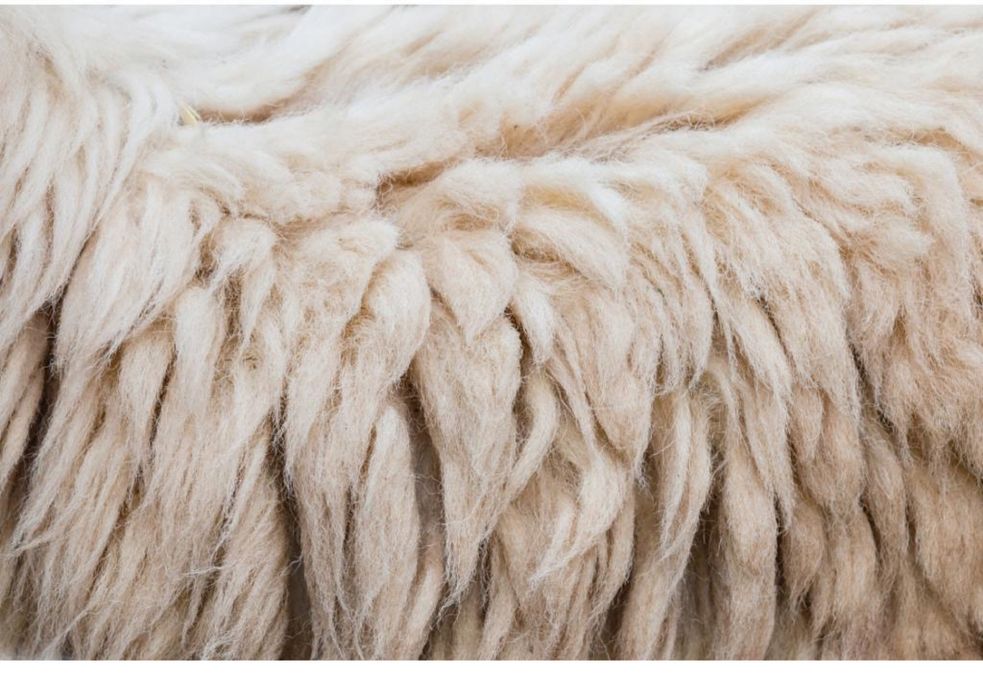 Шерсти овечьи свежие серые белые черные